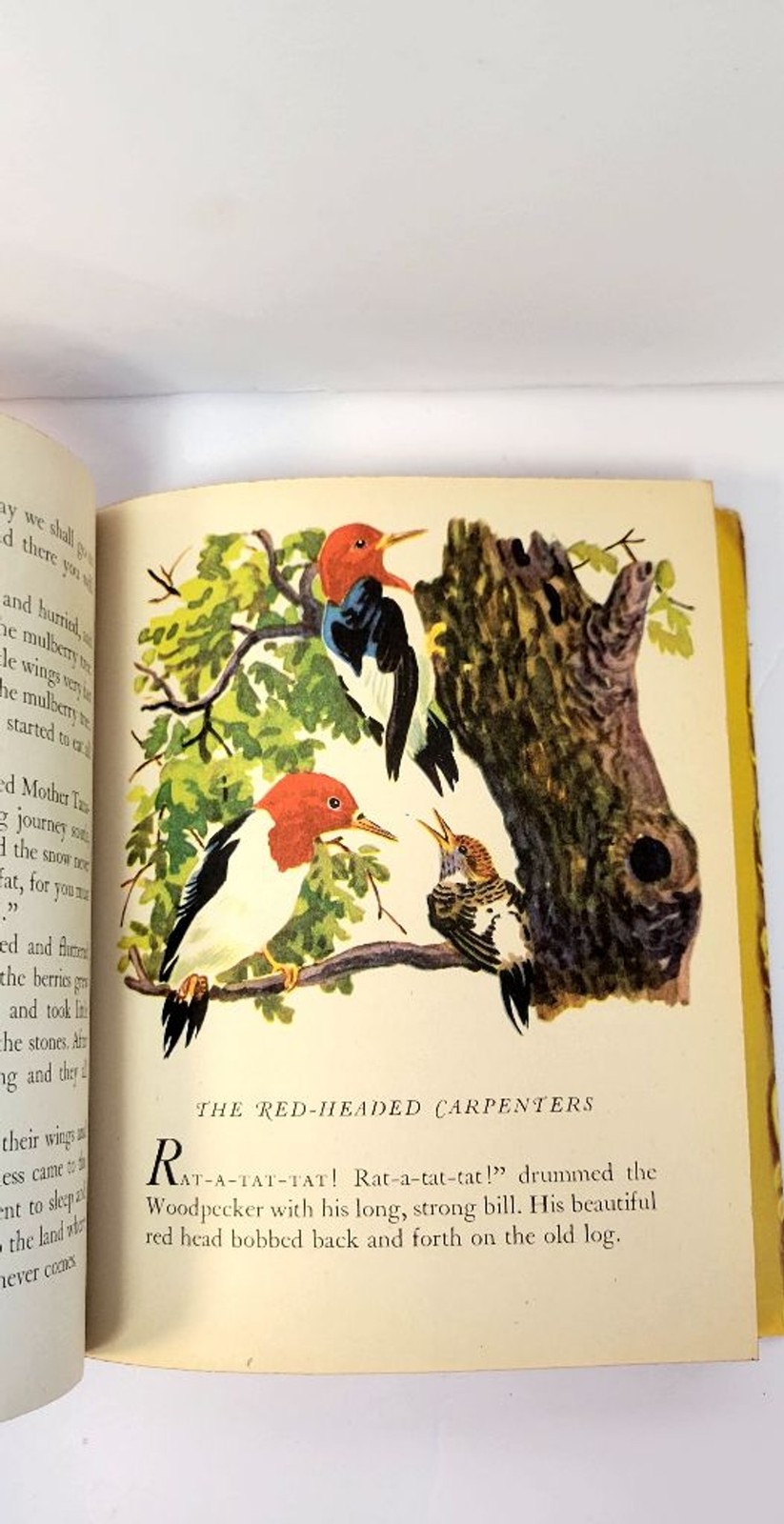 Semi-antique 1943 The Little Golden Book of Birds