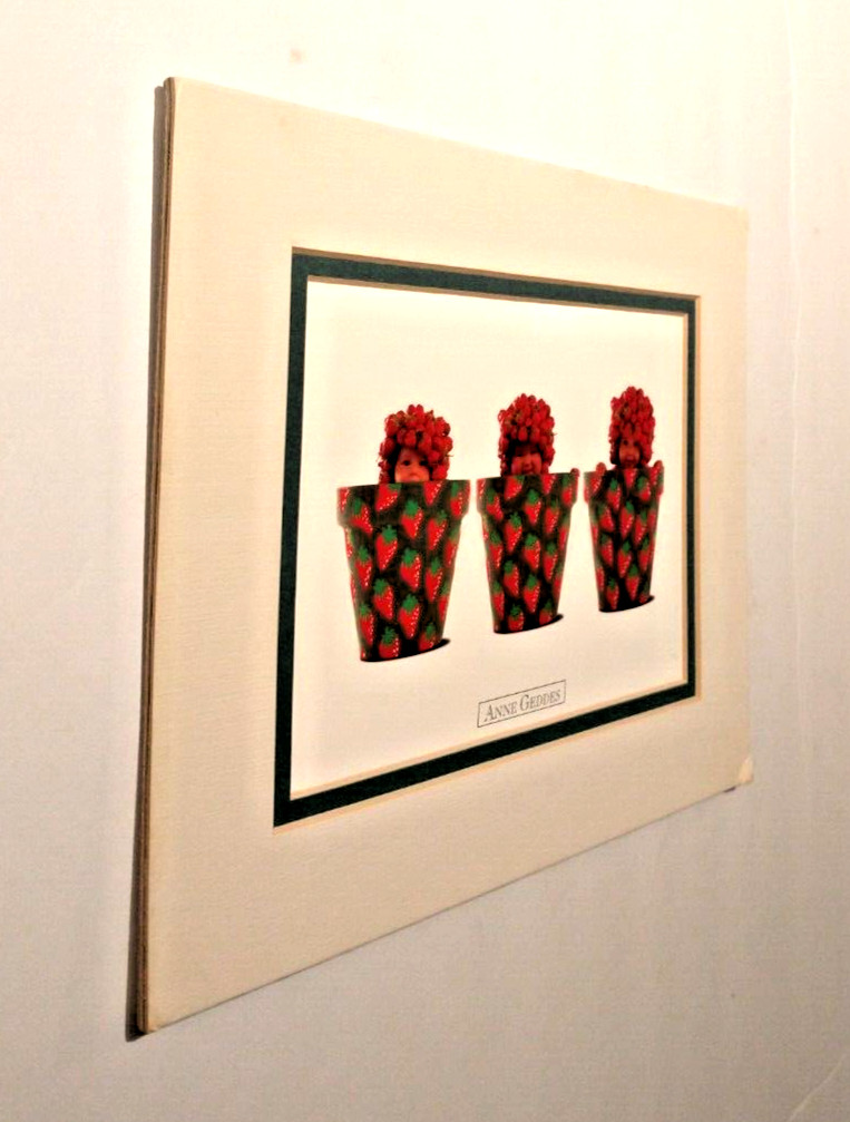 Anne Geddes 8 x 10 Matte Print ~ Strawberry Babies