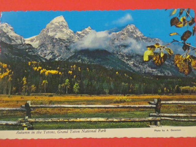 Autumn in Grand Teton National Park Postcard – Scalloped Edge / 4″x6″