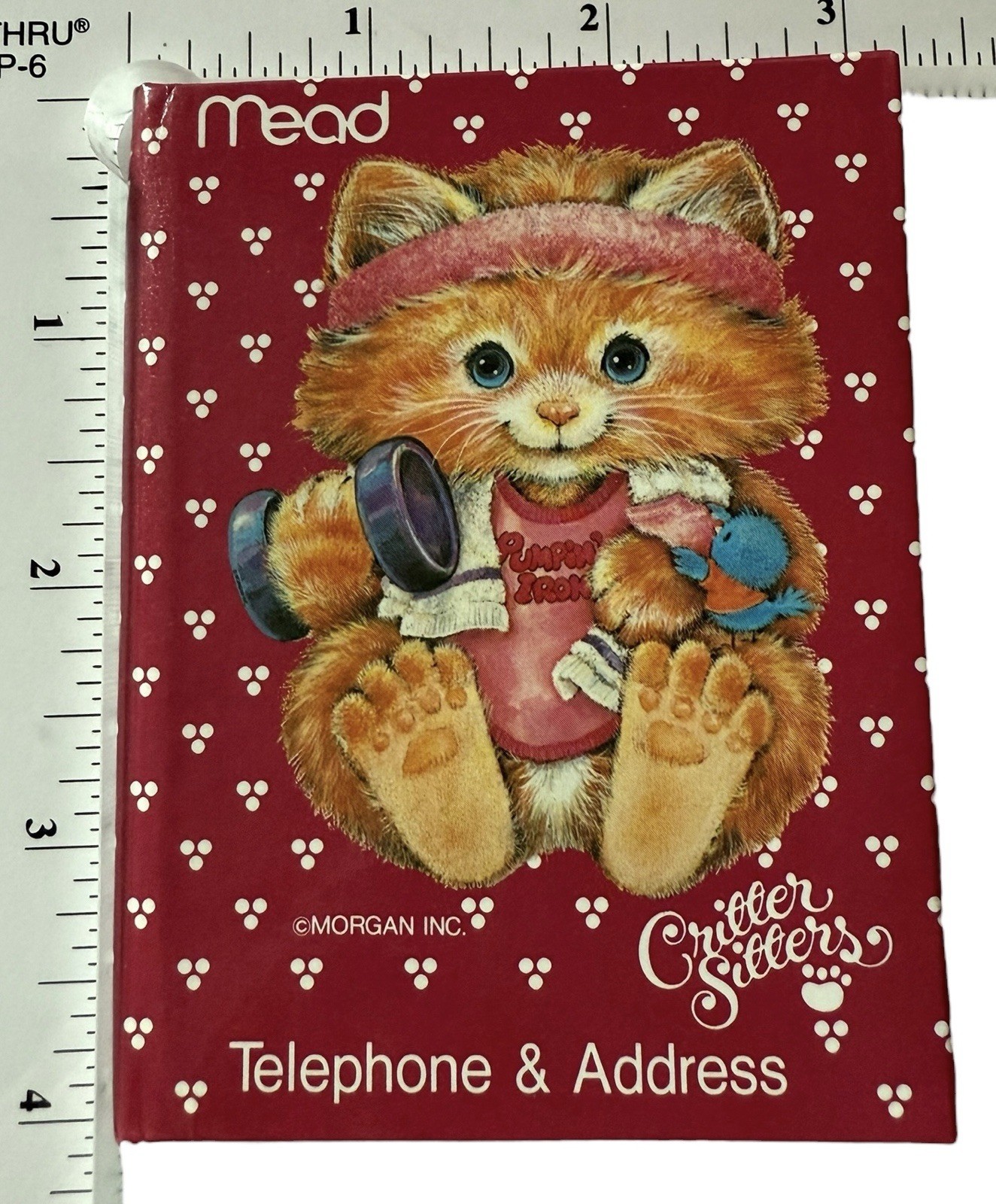 Critter Sitters Mini Vtg Telephone & Address Book Kitty Cat Kitten Workout NEW