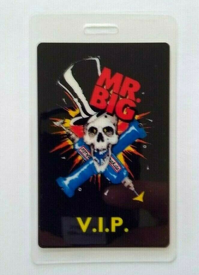 Mr Big Lean Into It VIP Backstage Pass Original 1991 Hard Rock Music Skull Drill