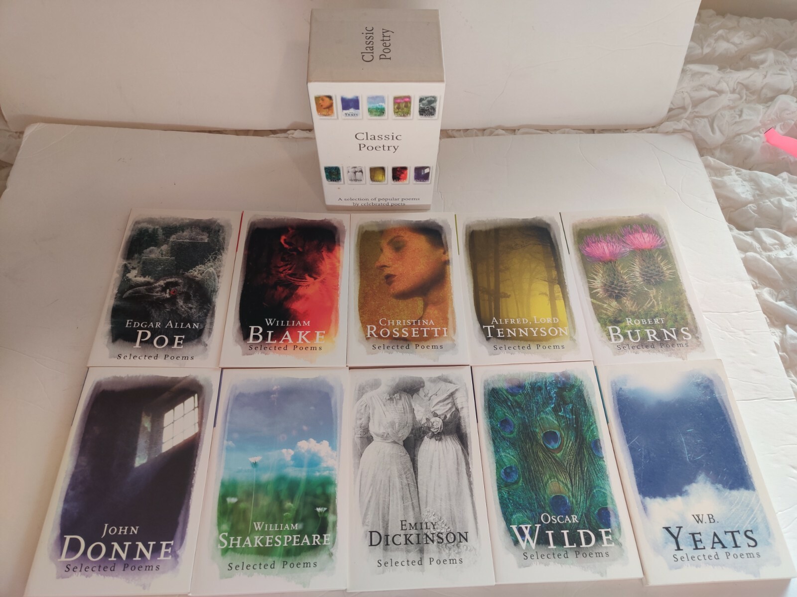 10 VOLUME SET PHOENIX POETRY BOOKS popular classical poets poems Classic poe