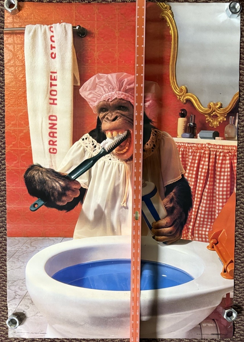 Vintage Toothbrush Chimpanzee Monkey Poster 1981 Scandecor 80s Grand Hotel 38×26