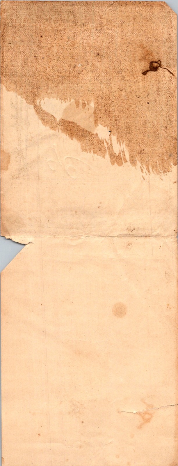 ROMA Ginghams Textile Label Late 1800s Woman Portrait 45 Yds