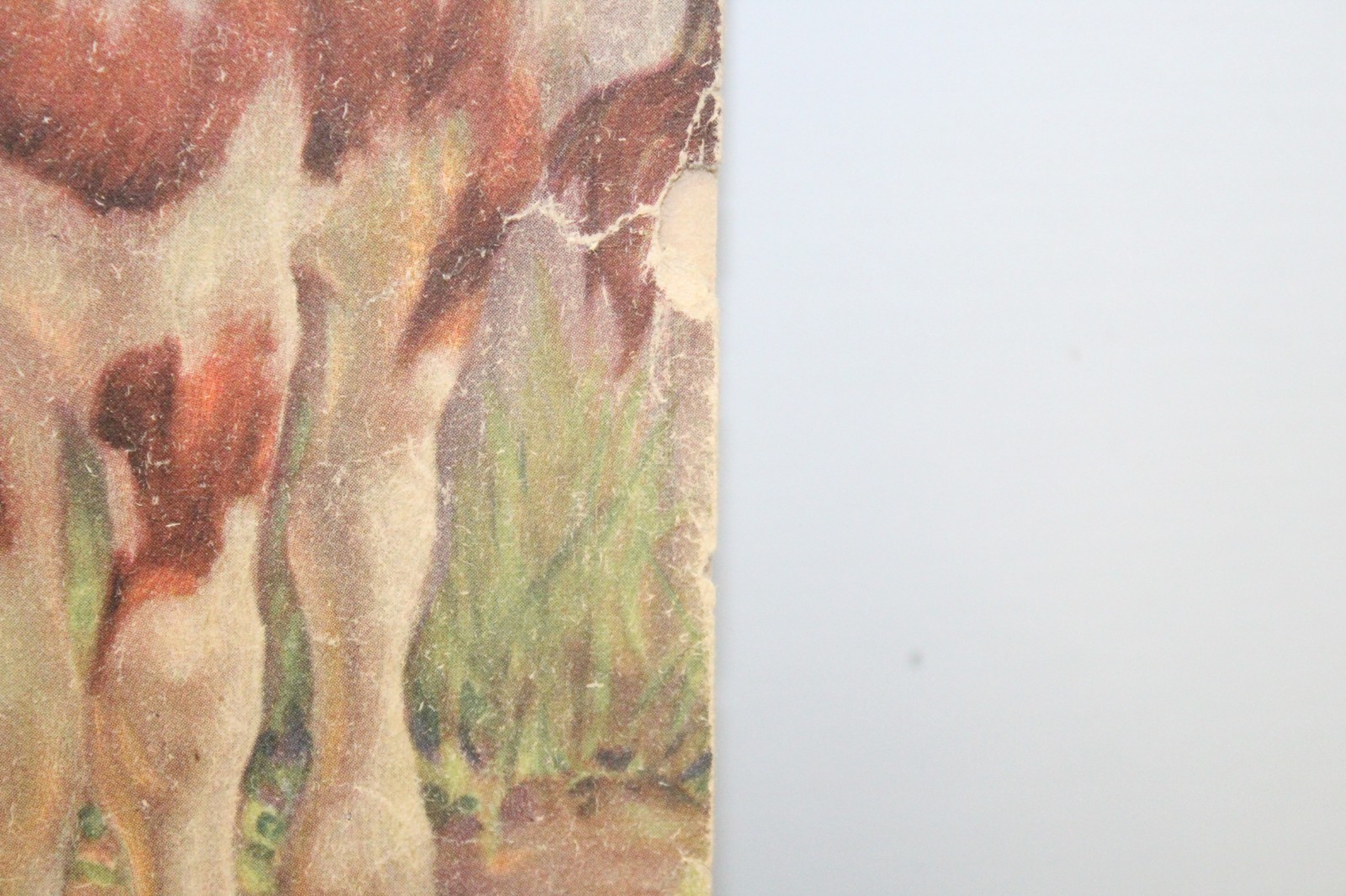 Vintage Farm Friends Large Children’s Paperback Book