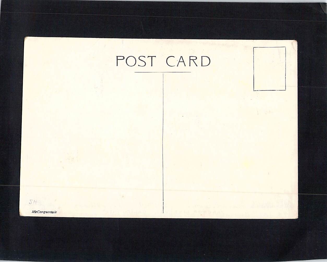 I0155 Transport Ship Anchor Line TSS California vintage postcard