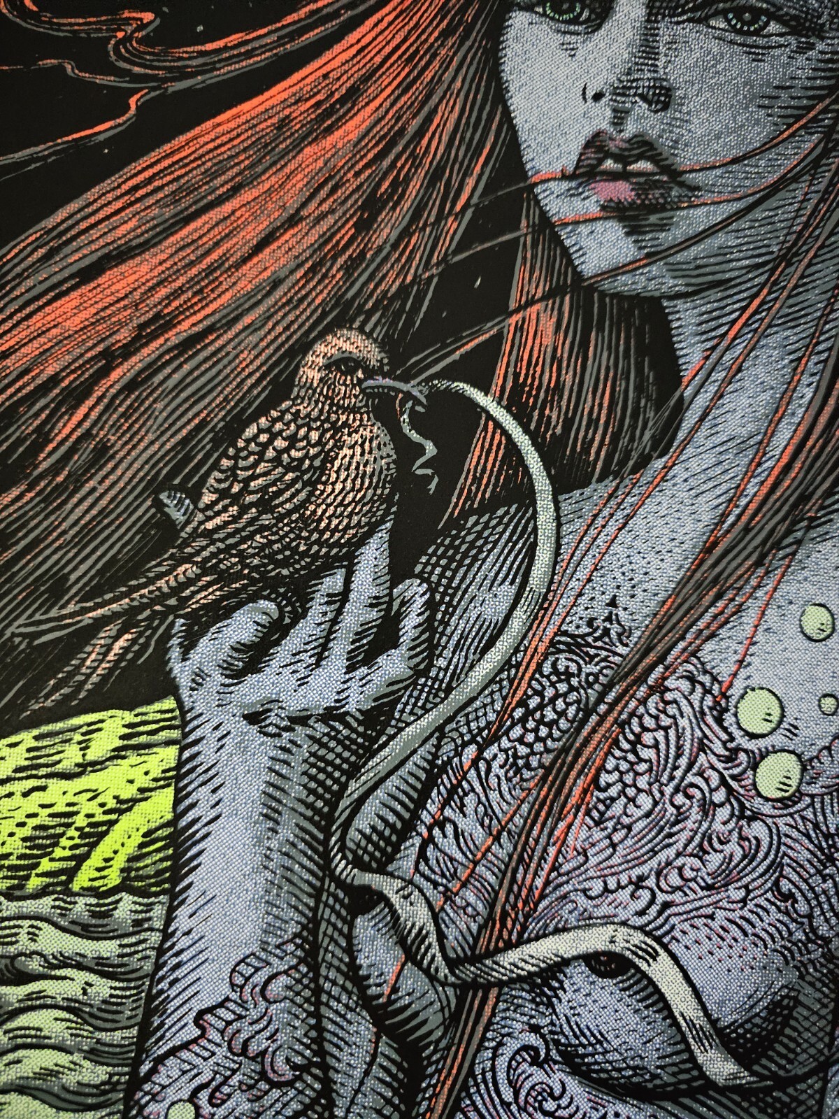 Widespread Panic David Welker Wantagh New York Signed Poster Screen Print # NY