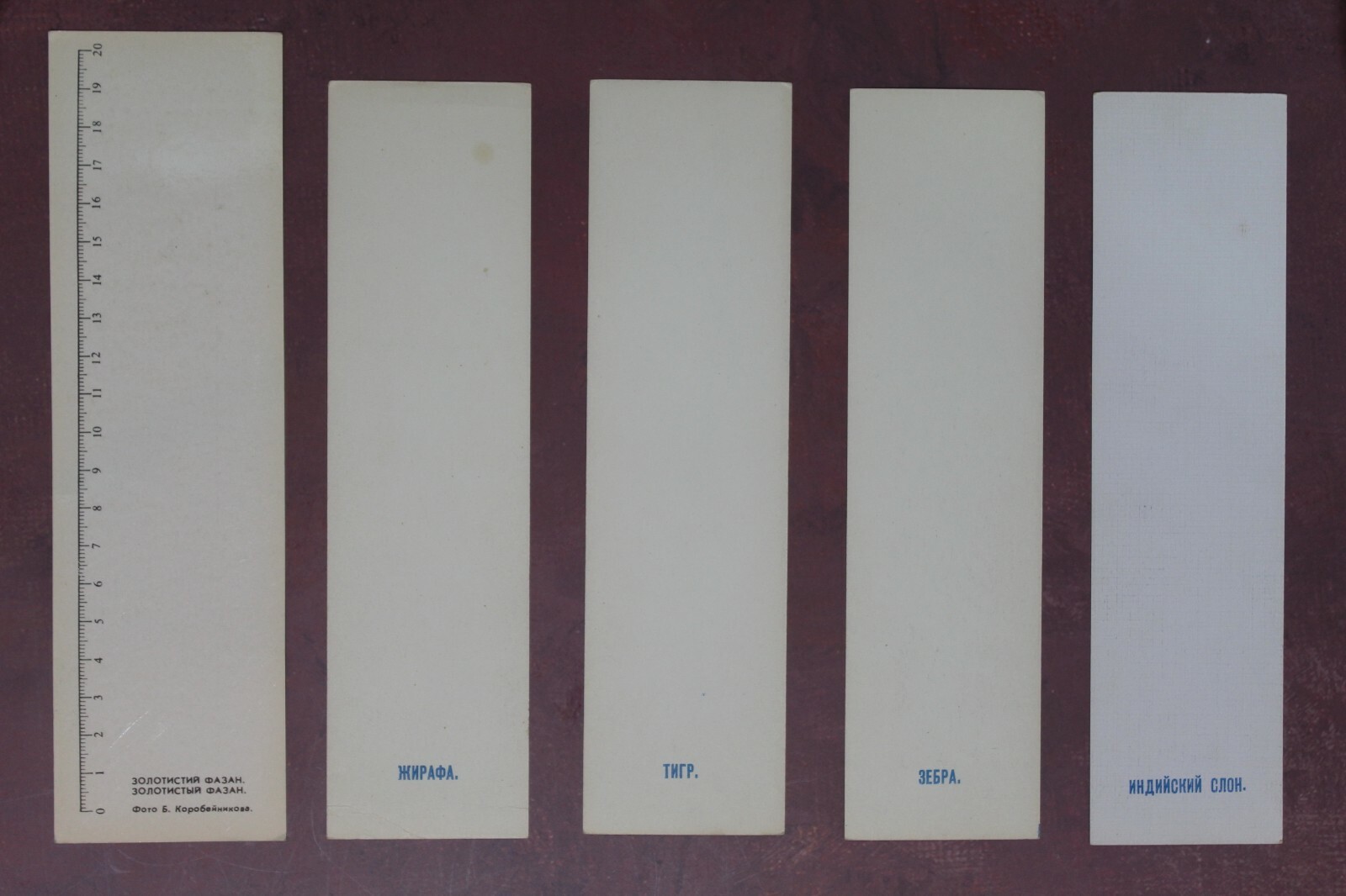 Leningrad ZOO Birds artist AMINOV Bookmarks USSR 1965 FULL Set 8 + BONUS🐦