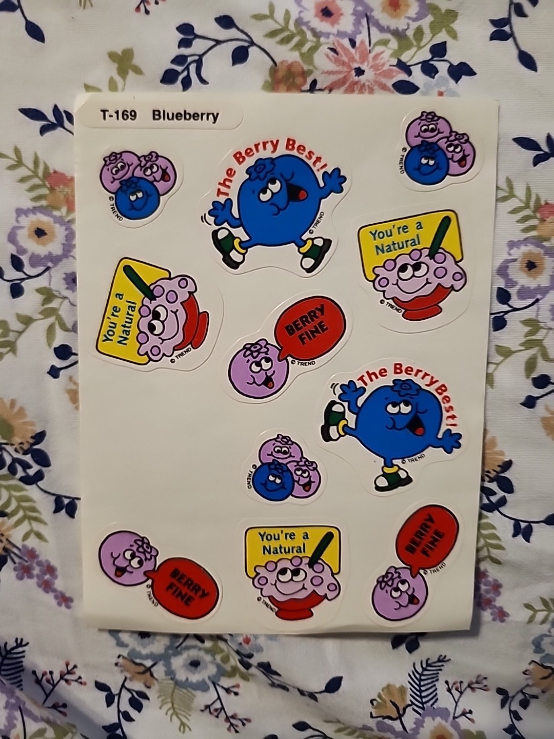 Vintage TREND Scratch & Sniff Sticker Sheet Die Cut BLUEBERRY Scent RARE