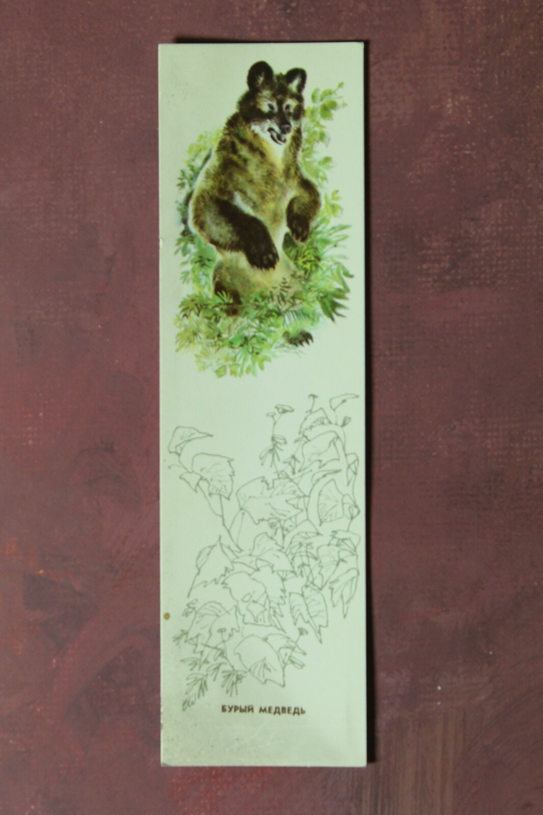 BOOKMARKS Animals in Forest Owl Russian USSR 1983 Full Set 5 Artist Kapustina🦊