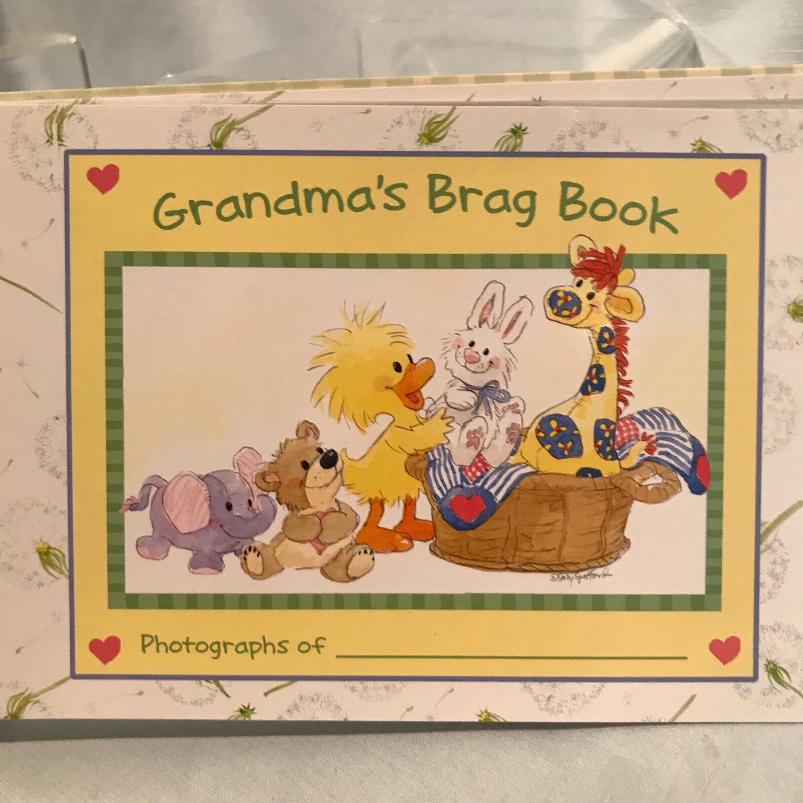 Suzy’s Zoo Vintage Grandma’s Brag Book In Plastic Sleeve 4″ x 6″ Photos $14.99