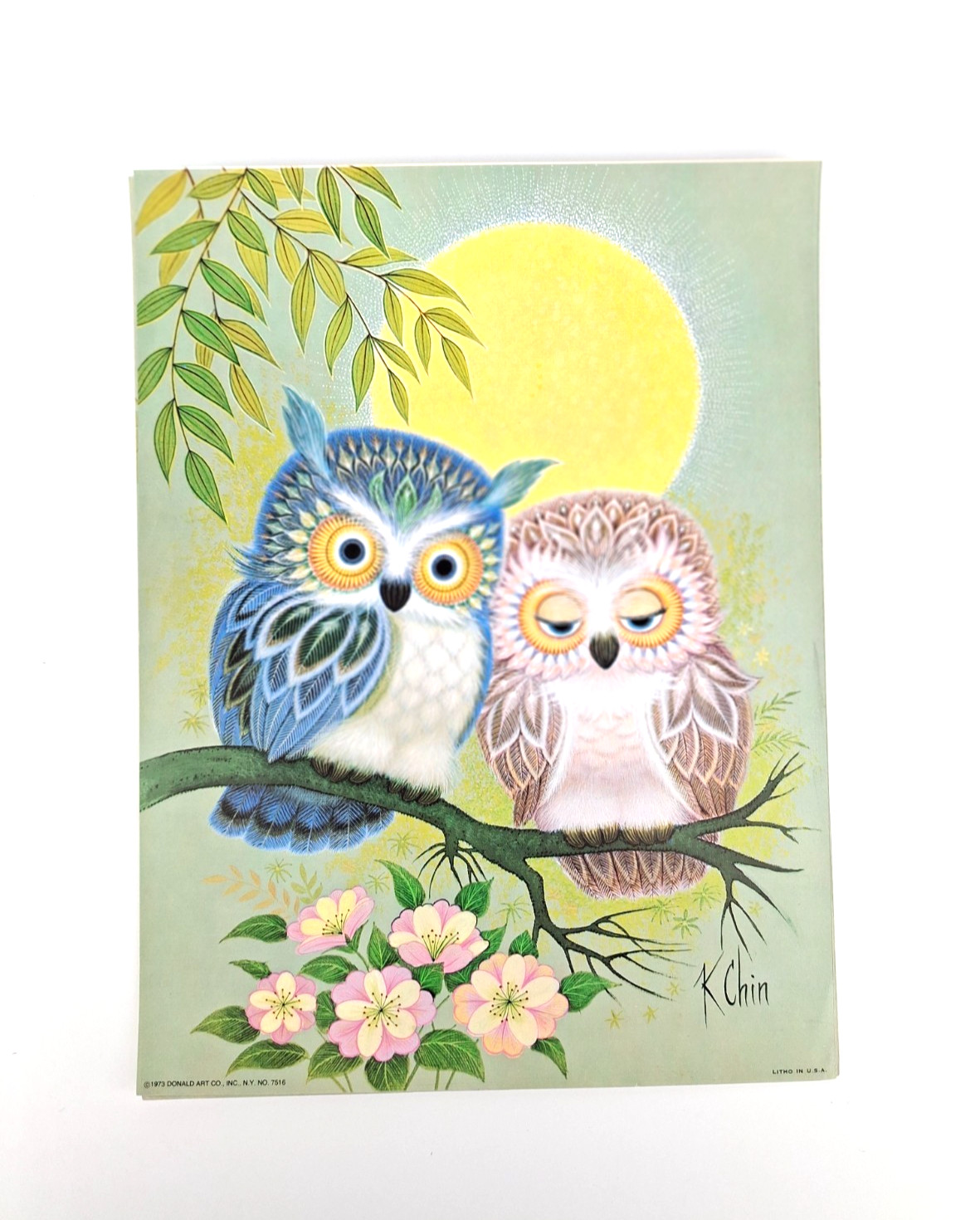 VTG 70s K Chin Owl Litho Print Mid Century Modern Donald Art Co. 9″ x 12″ #7516