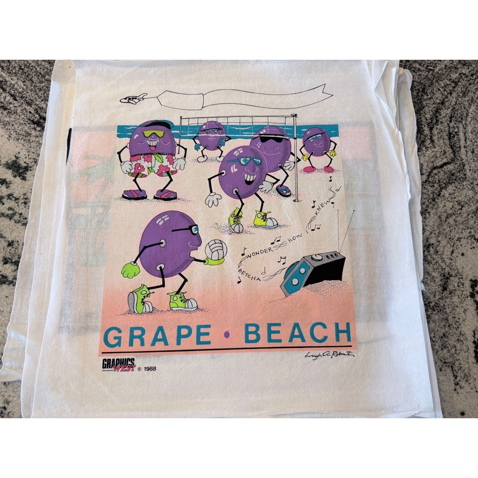 Vintage 80s Graphics West Surf Beach Heat Transfer Lot Pacific Wave California