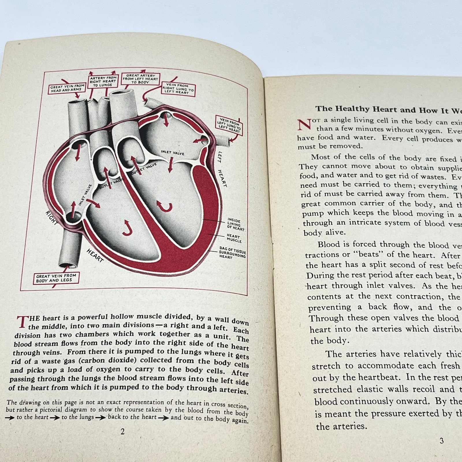 1950s Protecting Your Heart Booklet Metropolitan Life Insurance TF7