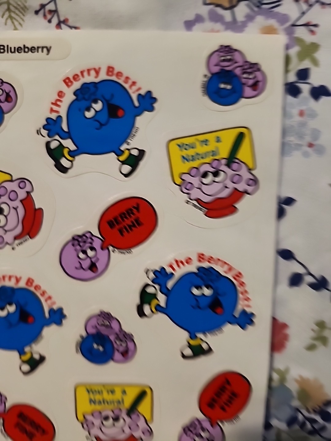 NEW Vintage TREND Scratch & Sniff Sticker FULL Sheet BLUEBERRY Scent RARE