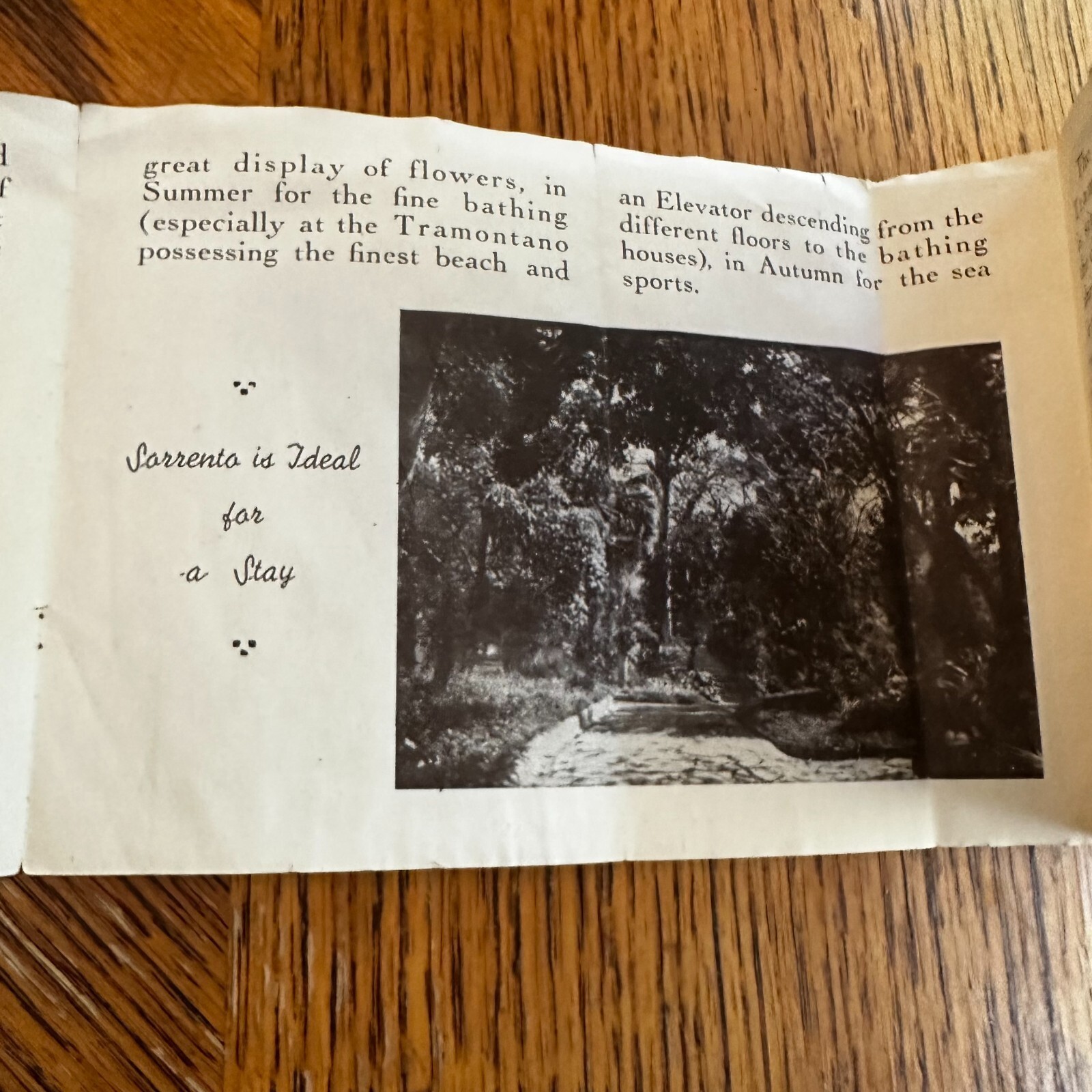 Hotel Tramontano Sorrento Italy Travel Brochure Mid-20th Century