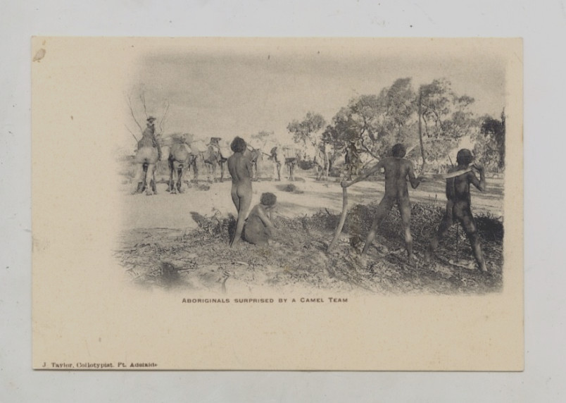 C1904 JAMES TAYLOR COURT SIZE POSTCARD ABORIGINALS MEET CAMEL TEAM S.A. P113
