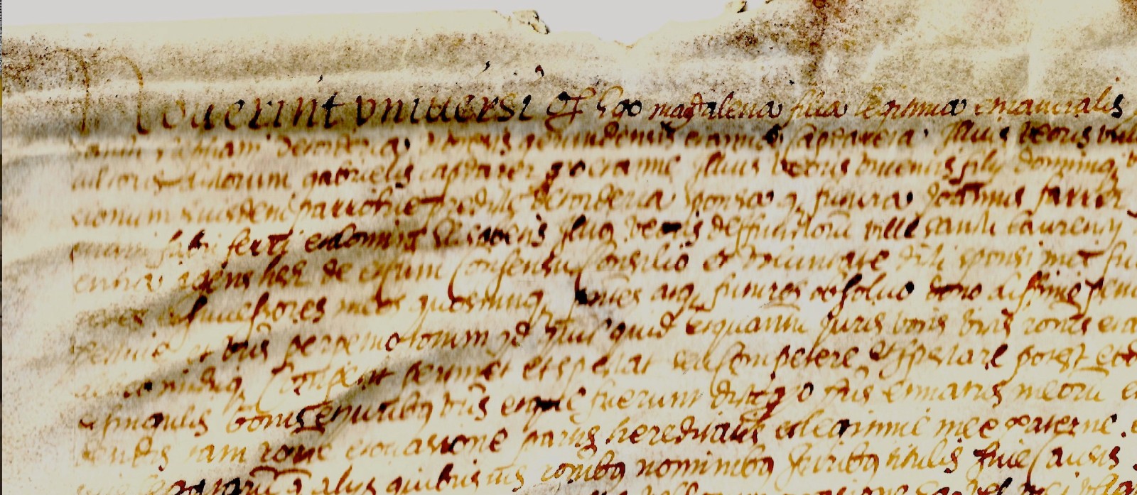 1560 Latin Manuscript Vellum Cantallops Catalonia Family CAPDARER FARRER