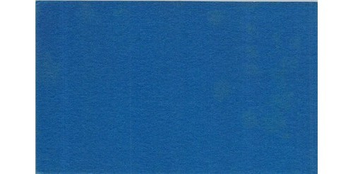 Silver Springs FL Advertising Blotter Woman Glass Bottom Boat 1940s/50s