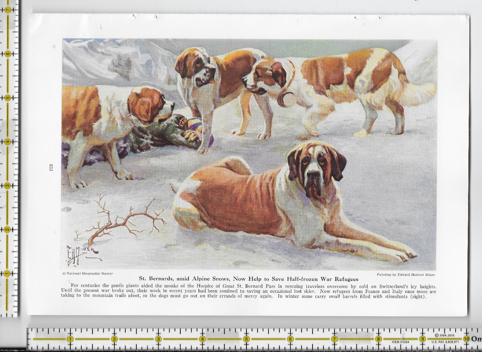 Working Dogs Of The World dog 1941 magazine article – 32 pgs