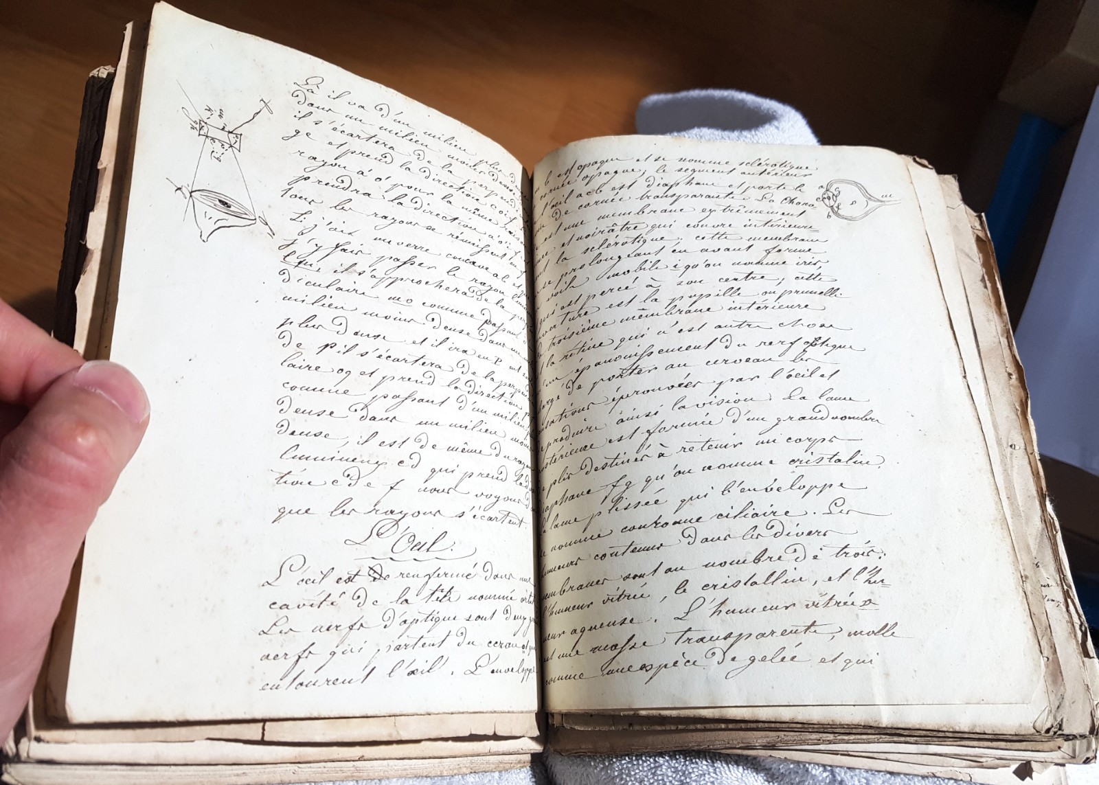 Important 19th Century Physics Chemistry Manuscript Set, Many Diagrams