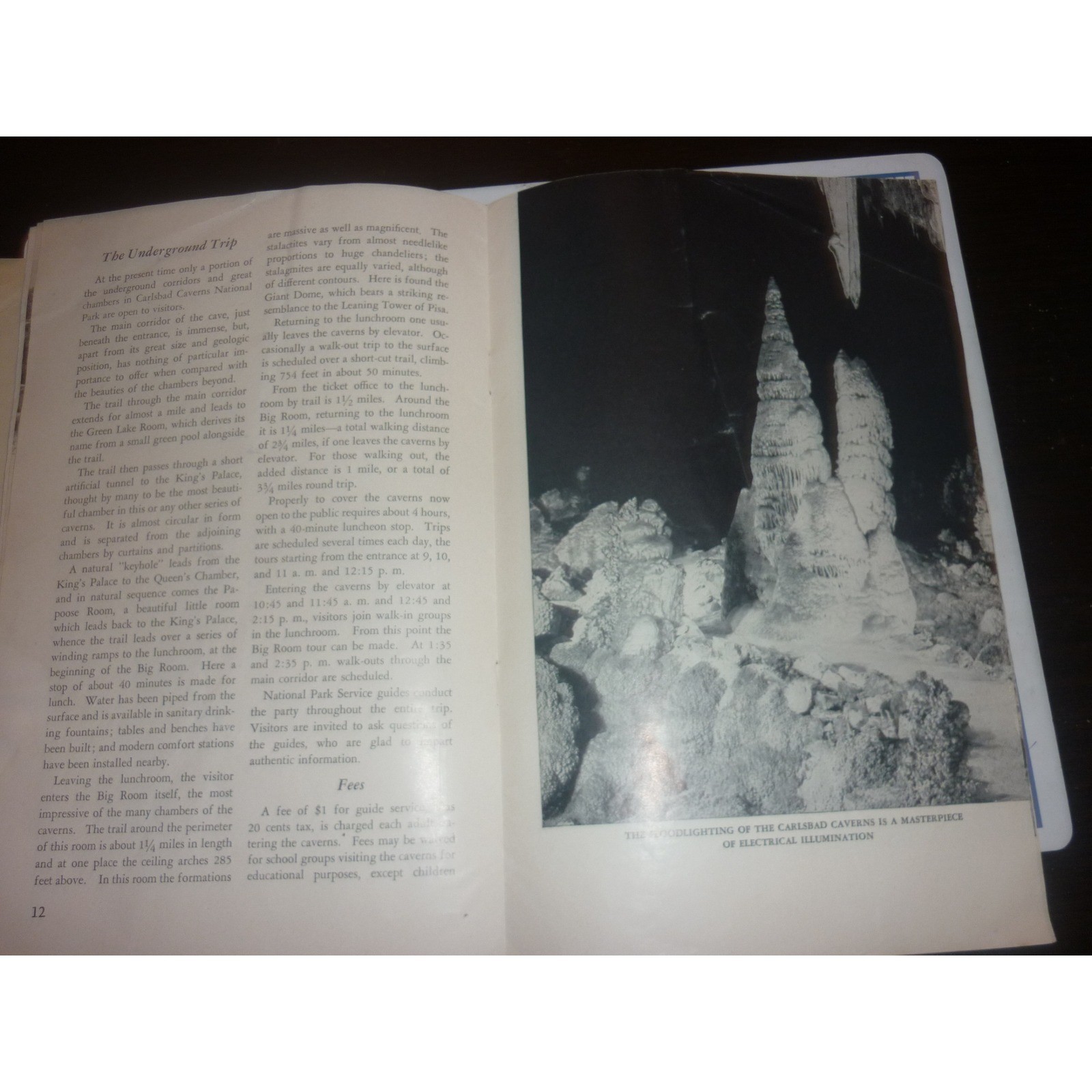 1951 Carlsbad Caverns National Park New Mexico Vintage Souvenir Booklet Map