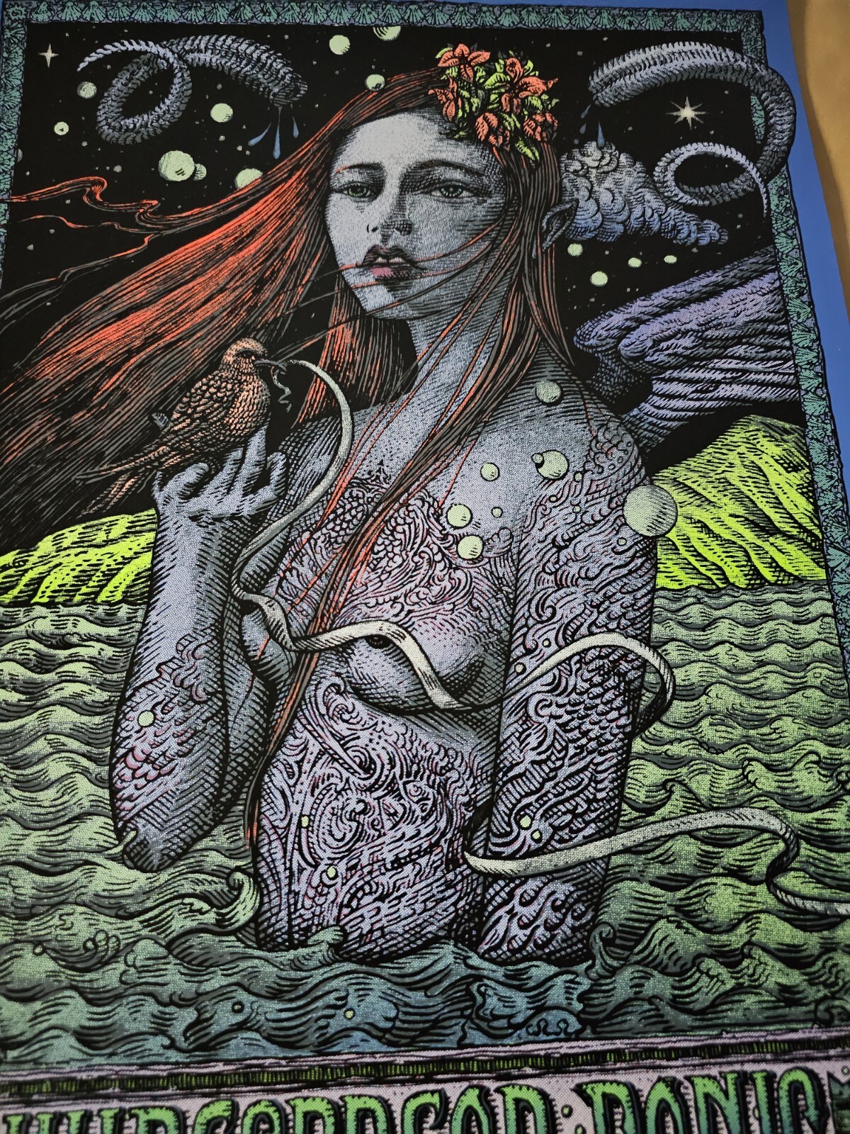 Widespread Panic David Welker Wantagh New York Signed Poster Screen Print # NY