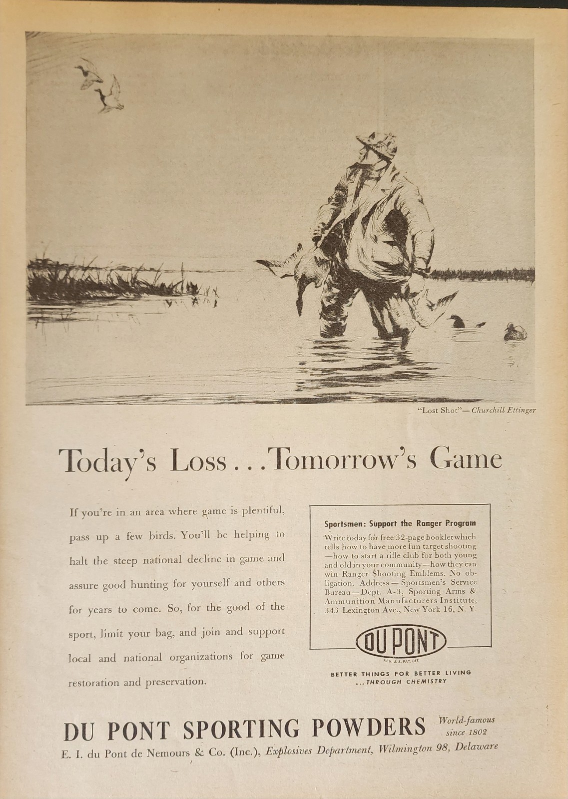 Du Pont Game Birds Picture Magazine Ad Original Vtg Hunting Shooting Wall Art