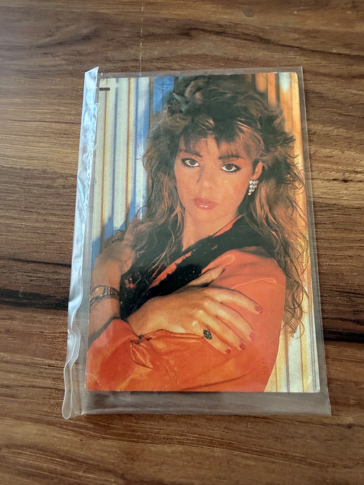 Sandra Vintage Turkish Postcard Aydin Kartpostal 2439 80s Pop Singer Rare
