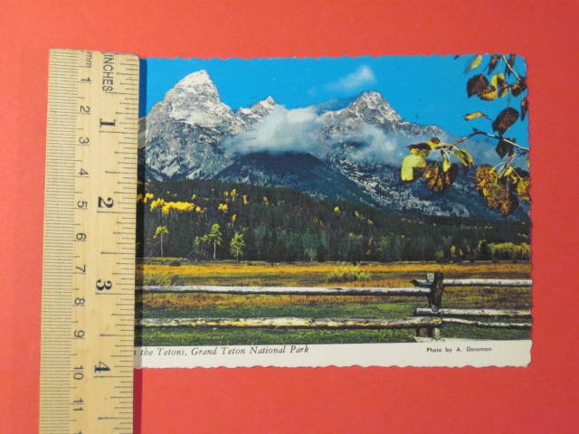 Autumn in Grand Teton National Park Postcard – Scalloped Edge / 4″x6″