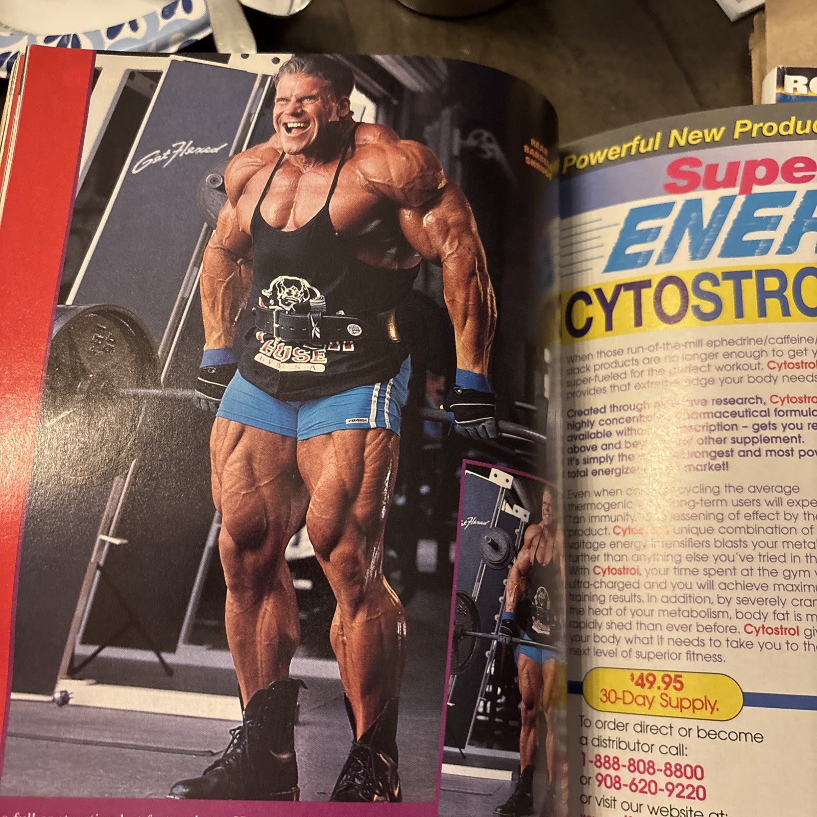 NOV 2000 FLEX body building magazine