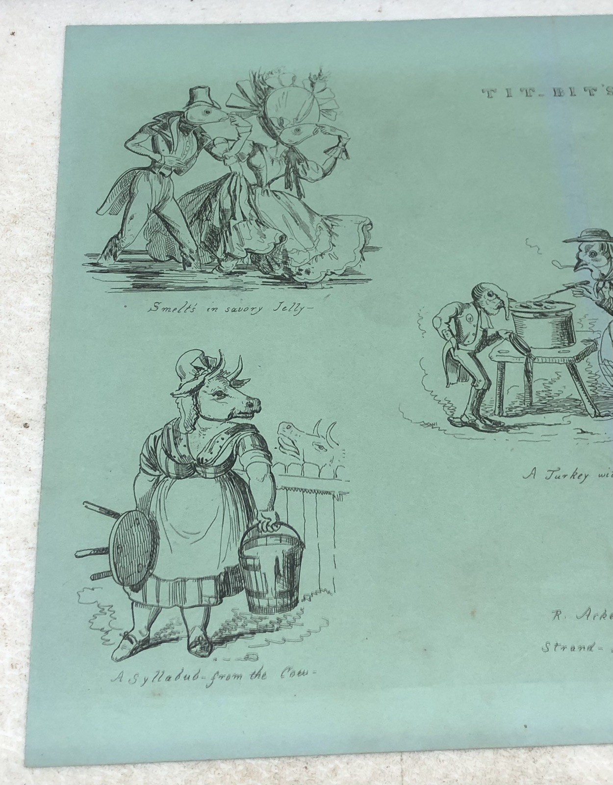 Antique Page / Print – TIT-BIT’S Animal Caricatures Pub. by Ackermann c1830s? L2
