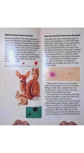 Lyme Disease Pamphlet Parke-Davis *Borrelia* Ticks Medical History 1990