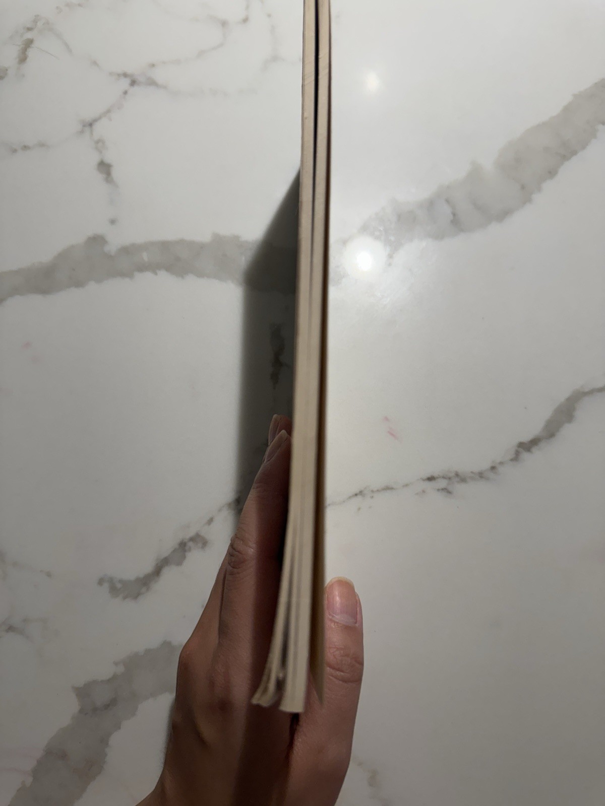 Stenographer’s Notebook Silverod No. 600 New Unused Lined Pages Vintage