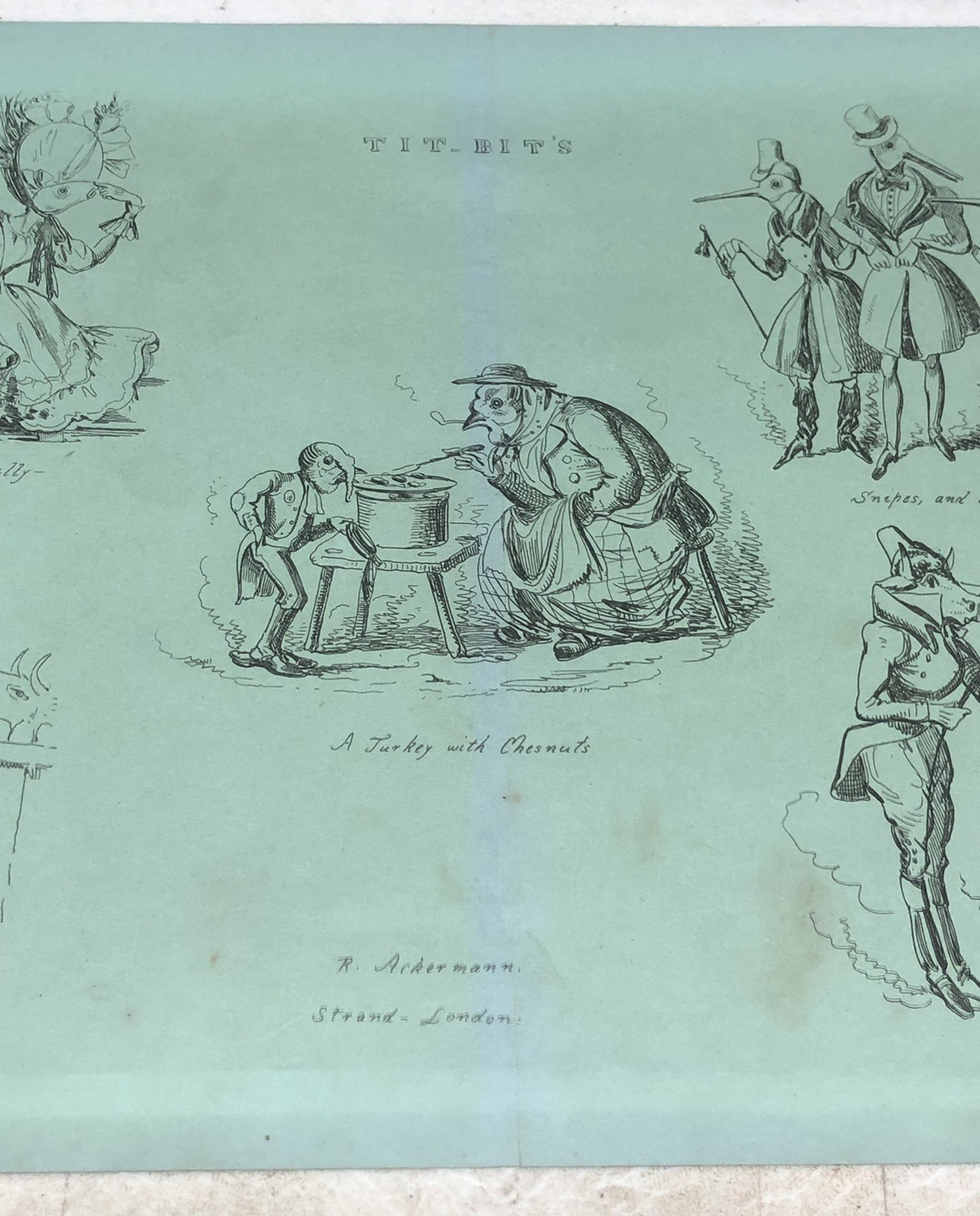 Antique Page / Print – TIT-BIT’S Animal Caricatures Pub. by Ackermann c1830s? L2
