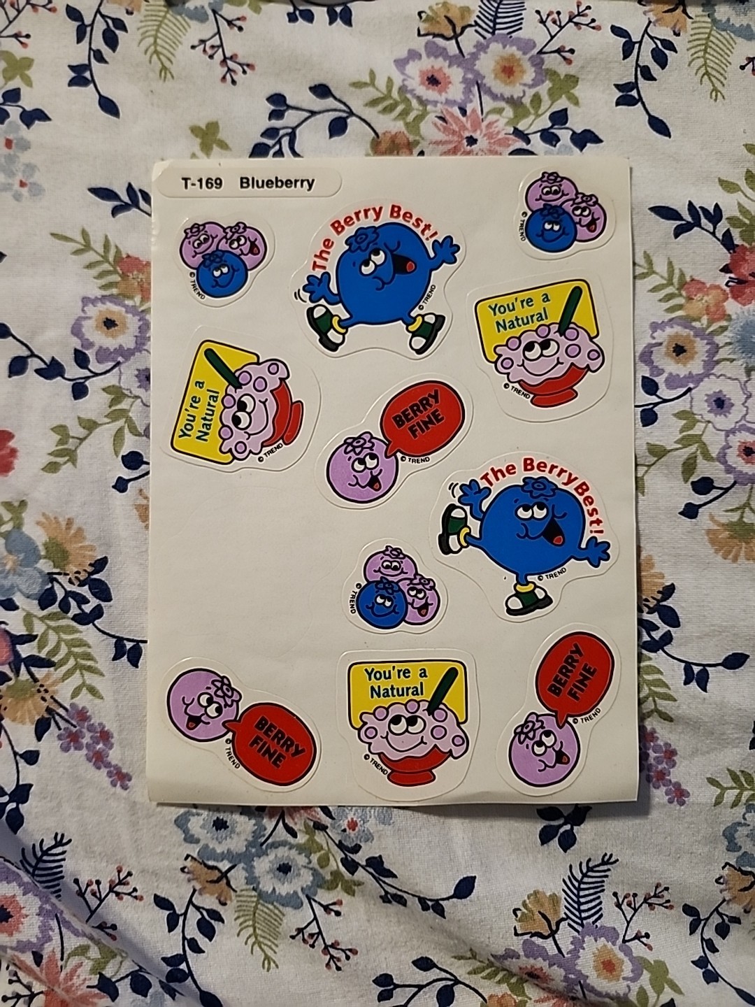 Vintage TREND Scratch & Sniff Sticker Sheet Die Cut BLUEBERRY Scent RARE