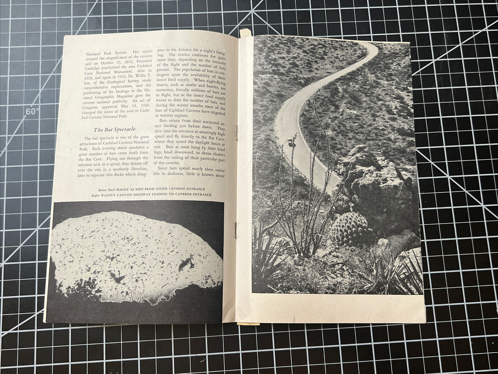 Vintage 1952 Carlsbad Caverns National Park New Mexico Brochure Pamphlet Booklet