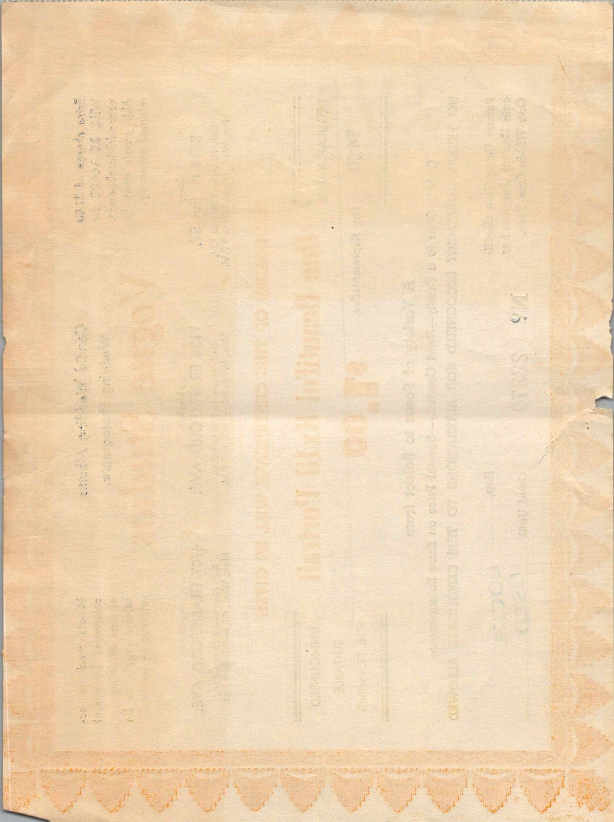Vogue Studios Phila Promo Certificate 8×10 Portrait c1950s Orange Blue