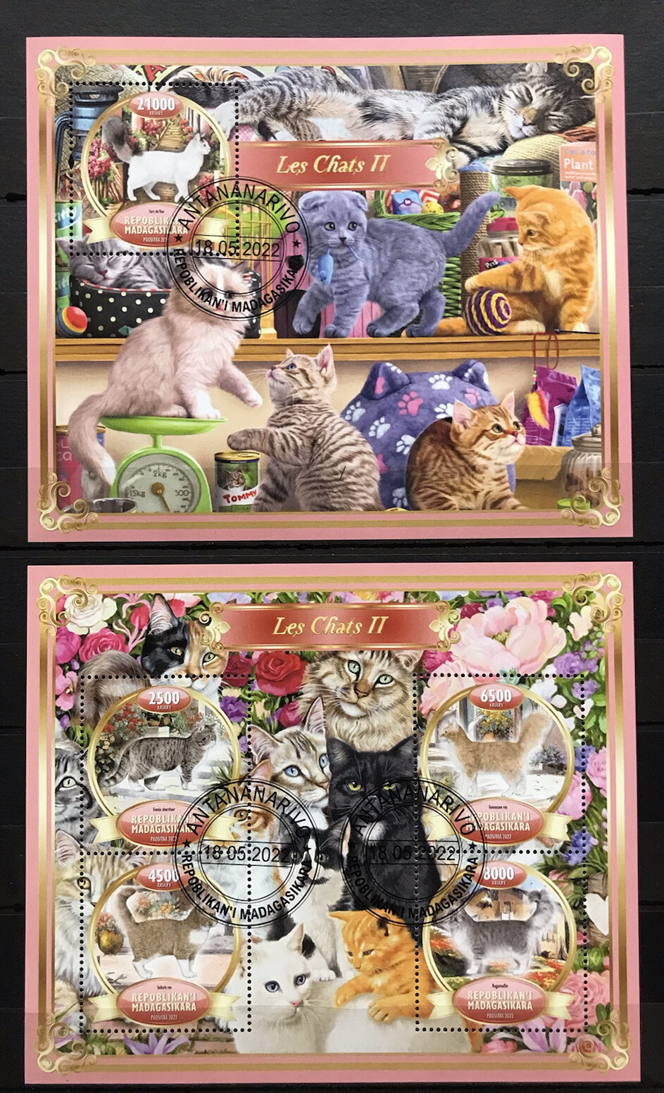 Cats / Gatos / Chats / Koty / Gatti / Pets – CTO – P2