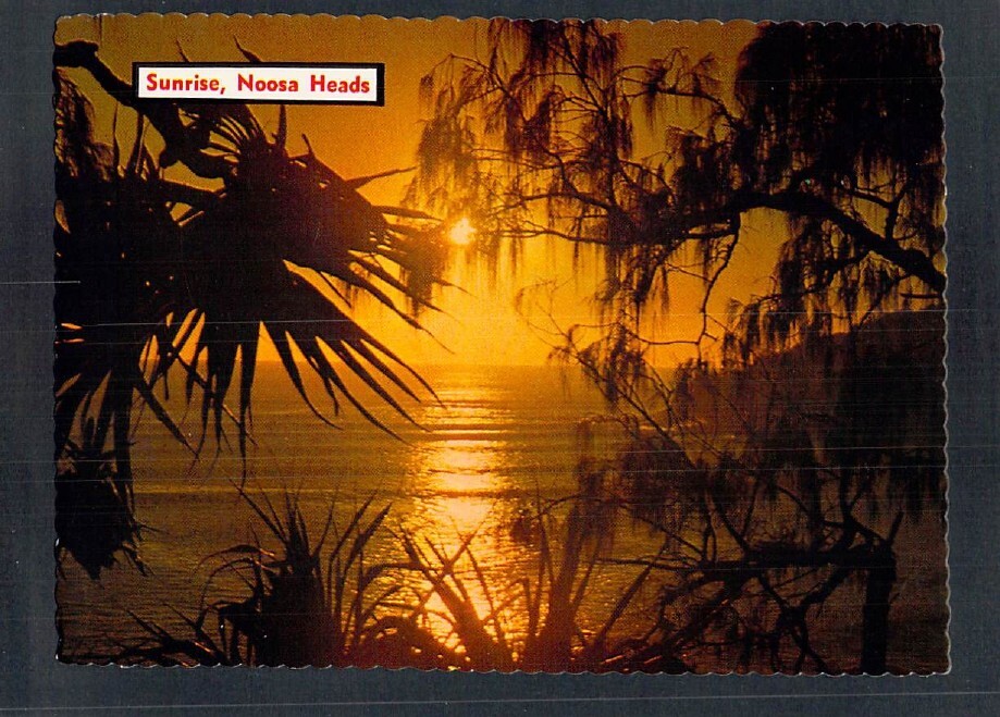 E9813 Australia Q Noosa Heads Sunrise postcard