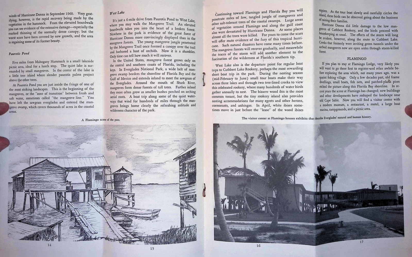 Everglades Nat’l Park FL Map Brochure c1950s Mid-Century NPS