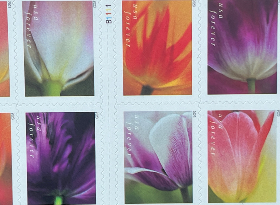 100 TOTAL 2023 USPS 5 SHEETS OF 20 FIRST CLASS LETTER STAMPS TULIP BLOSSOMS