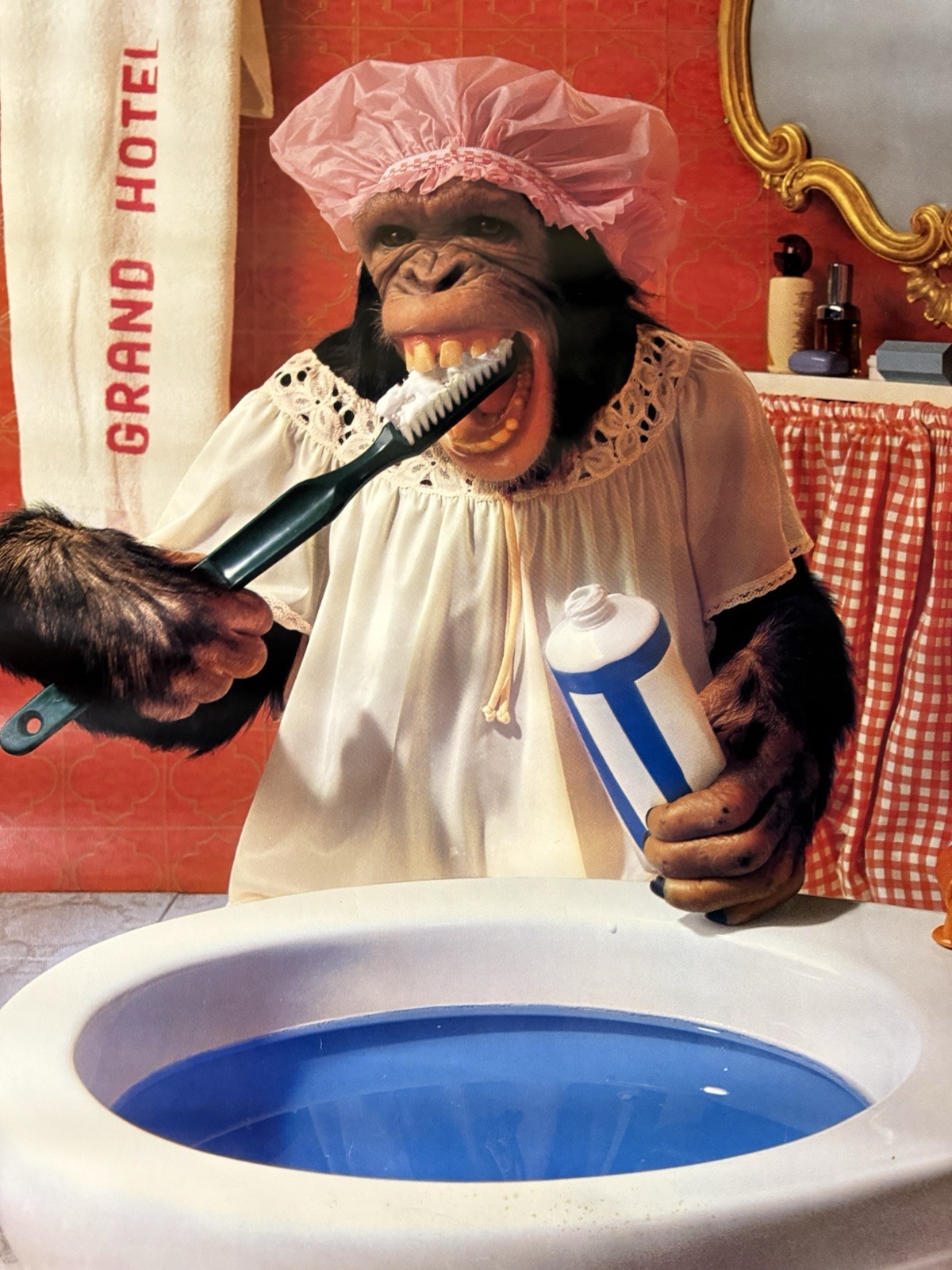 Vintage Toothbrush Chimpanzee Monkey Poster 1981 Scandecor 80s Grand Hotel 38×26