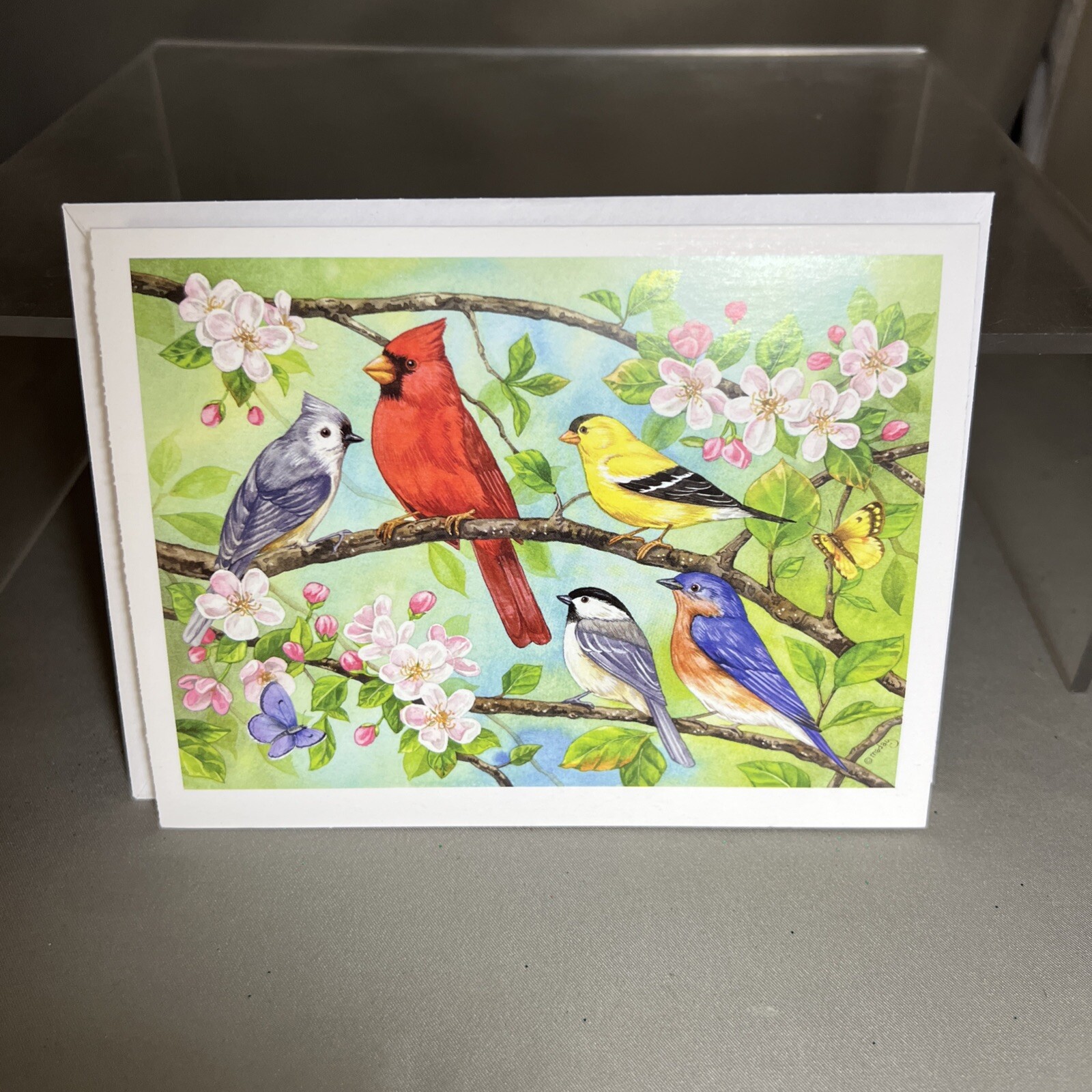 Jane Maday Blank Greeting Card Birds In Spring Cardinal Goldfinch Bluebird
