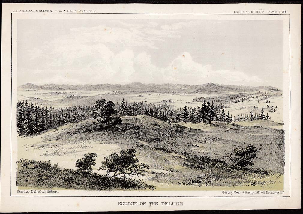 USPRR Survey 1853-4 lithograph by Sohon of Source of the Peluse River WA