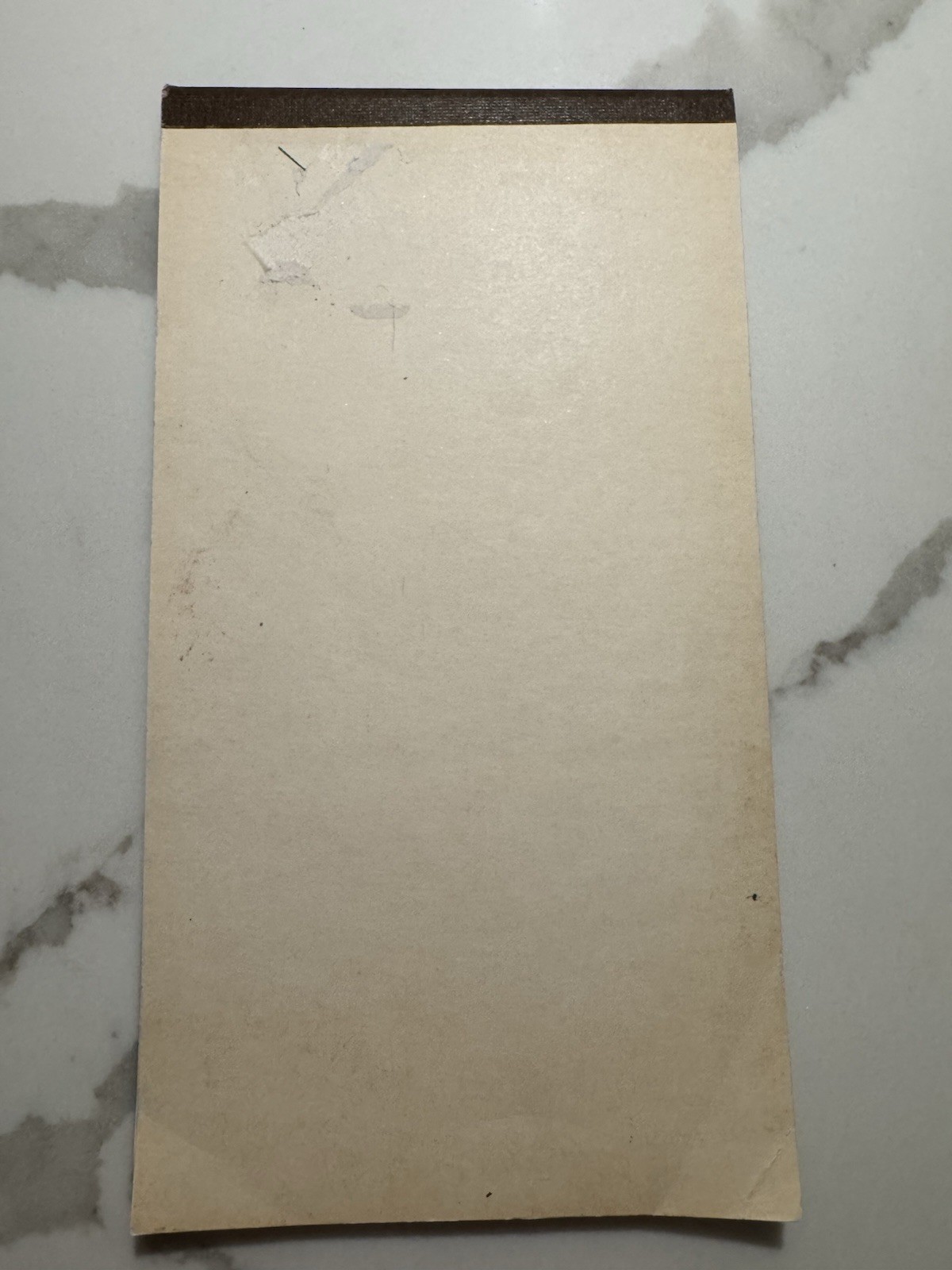 Stenographer’s Notebook Silverod No. 600 New Unused Lined Pages Vintage