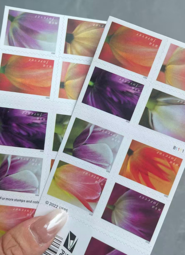 100 TOTAL 2023 USPS 5 SHEETS OF 20 FIRST CLASS LETTER STAMPS TULIP BLOSSOMS