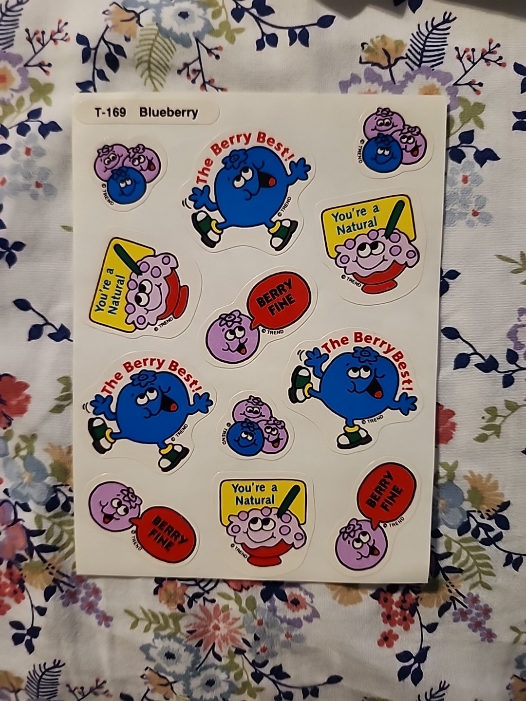 NEW Vintage TREND Scratch & Sniff Sticker FULL Sheet BLUEBERRY Scent RARE