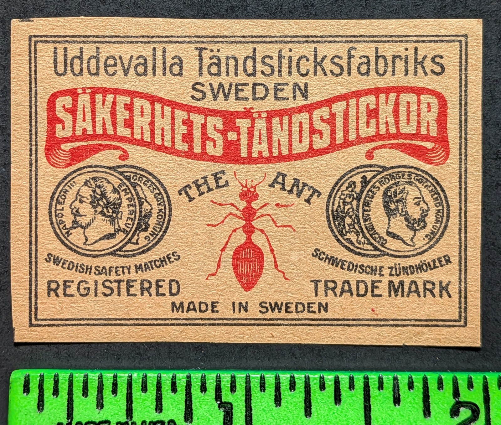 Vintage The Ant Bug Insect Matchbox Label