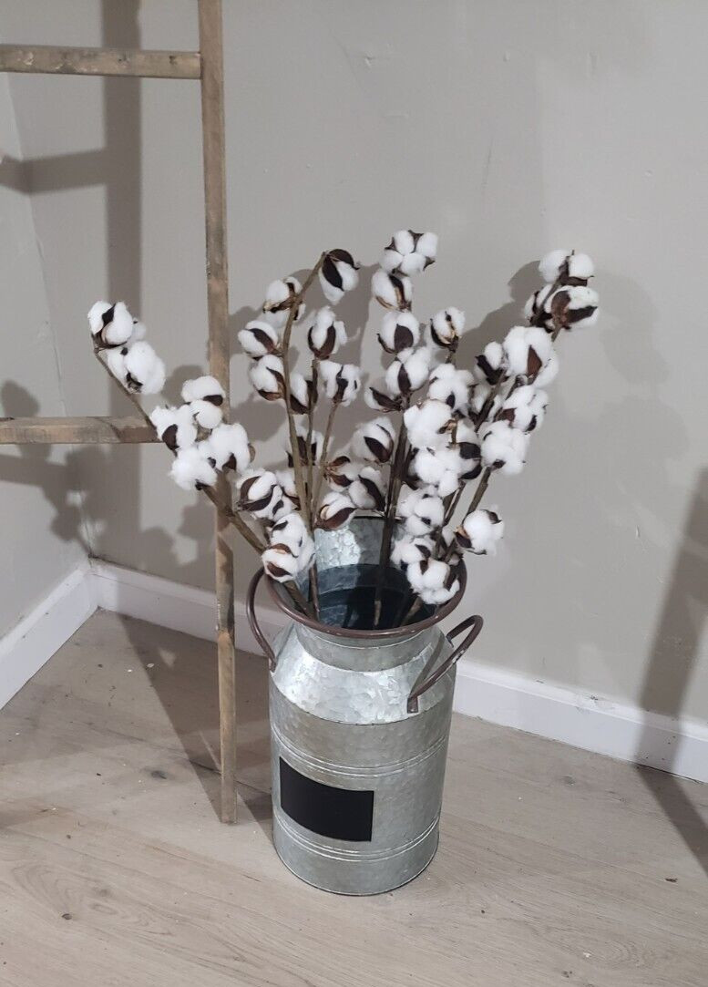55 WHITE COTTON Gossypium Seeds Non-GMO USA Seller Grow Your Own Cotton Farm